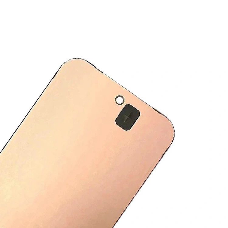 पिक्सेल 9 एलसीडी स्क्रीन